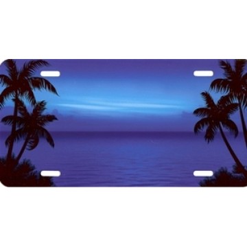 Palm Trees On Blue License Plate 